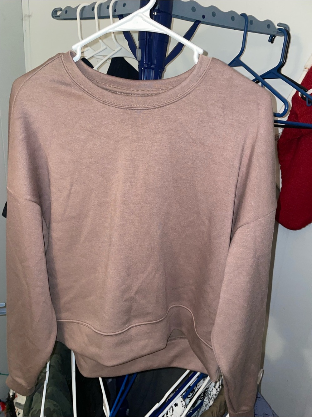 Relaxed Crewneck Sweatshirt in Dusty Mauve